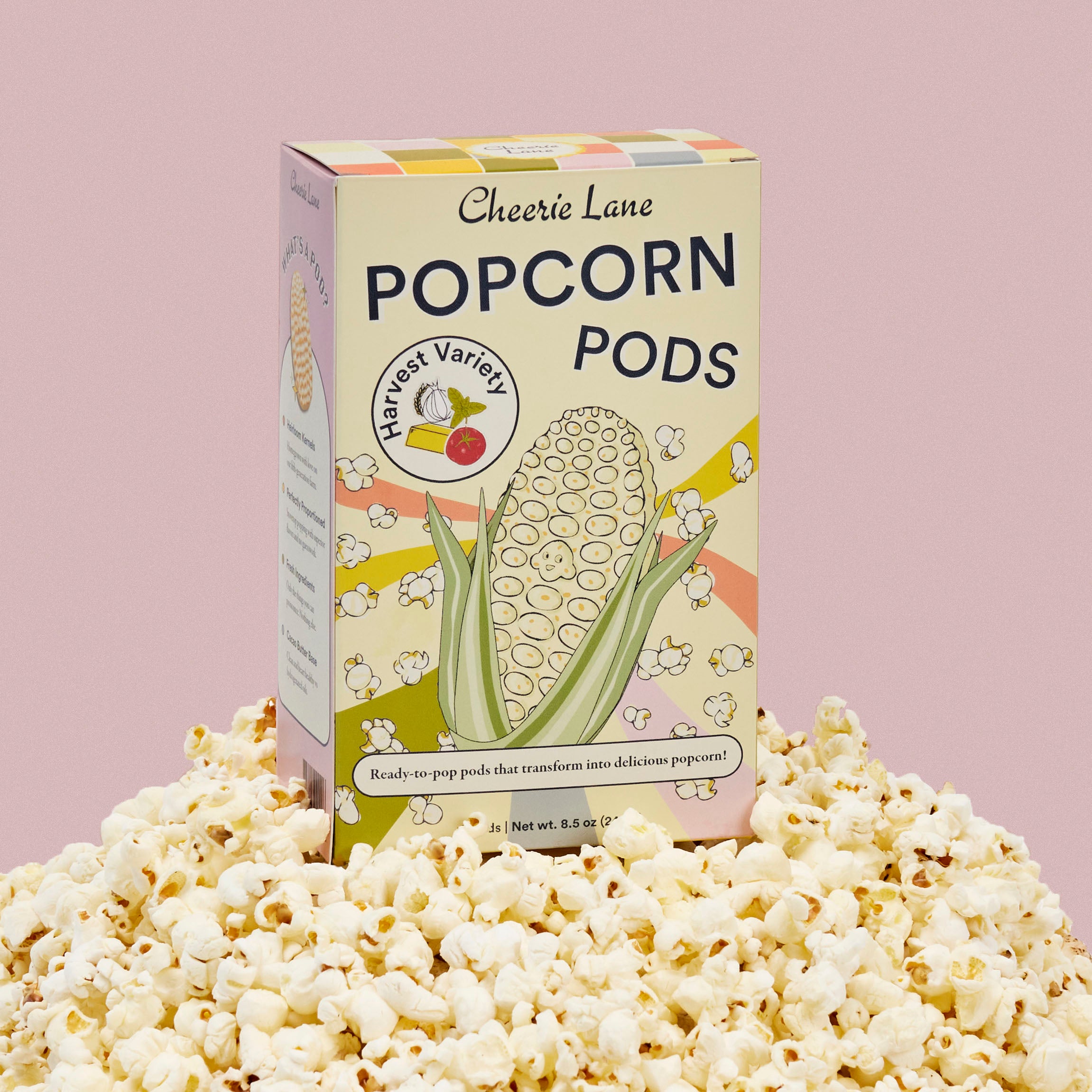 Popcorn Cleaning Kettle Pucks